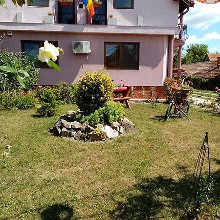 Hotel Pensiunea Oana Balc Esterno foto