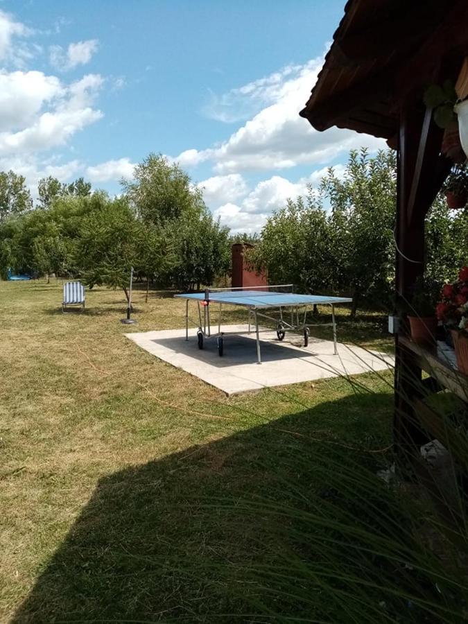 Hotel Pensiunea Oana Balc Esterno foto