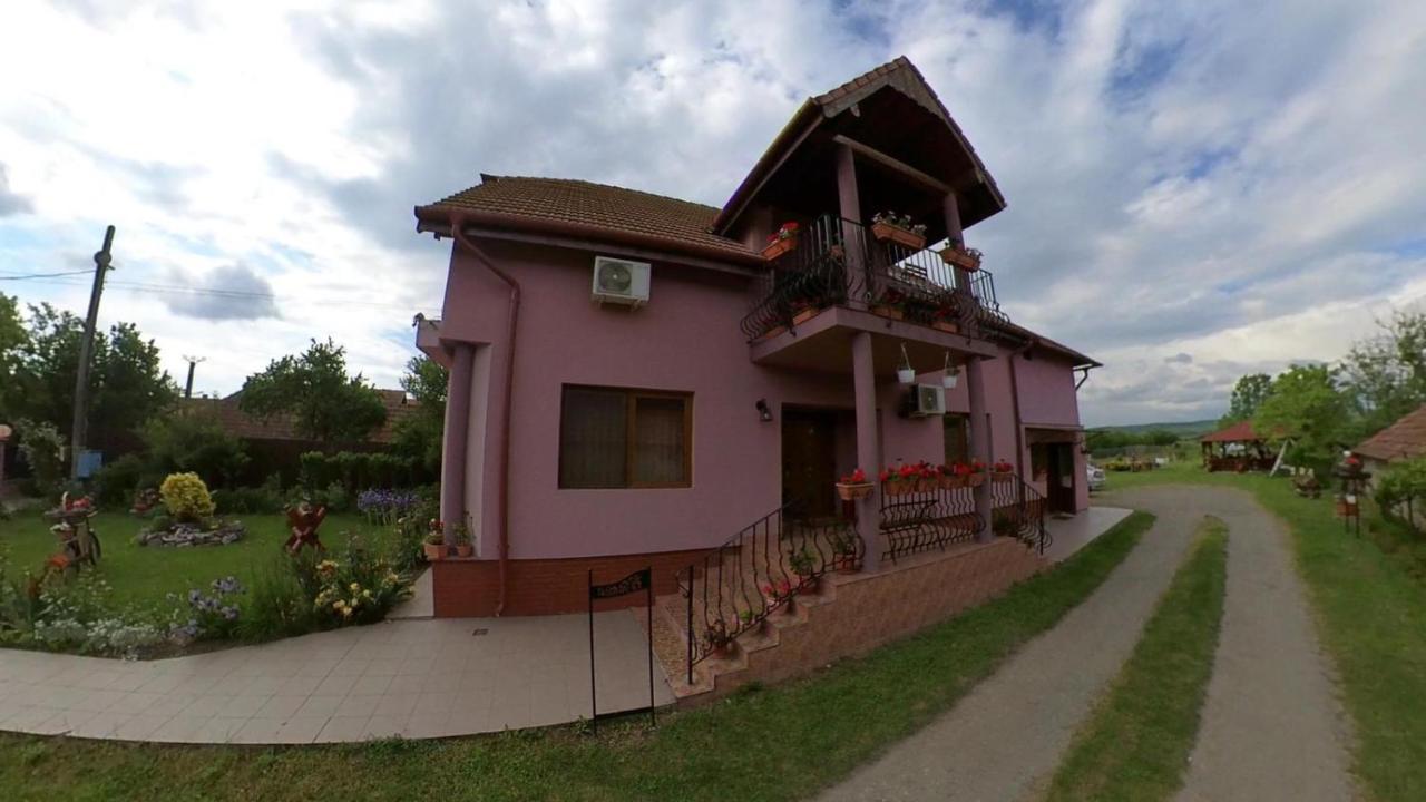Hotel Pensiunea Oana Balc Esterno foto