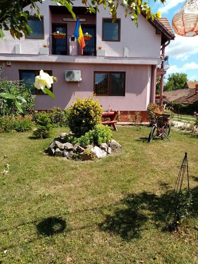 Hotel Pensiunea Oana Balc Esterno foto
