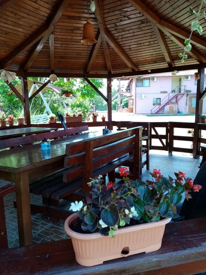 Hotel Pensiunea Oana Balc Esterno foto