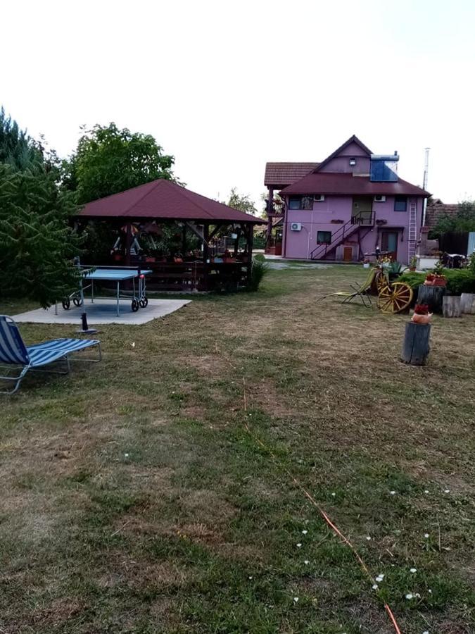 Hotel Pensiunea Oana Balc Esterno foto